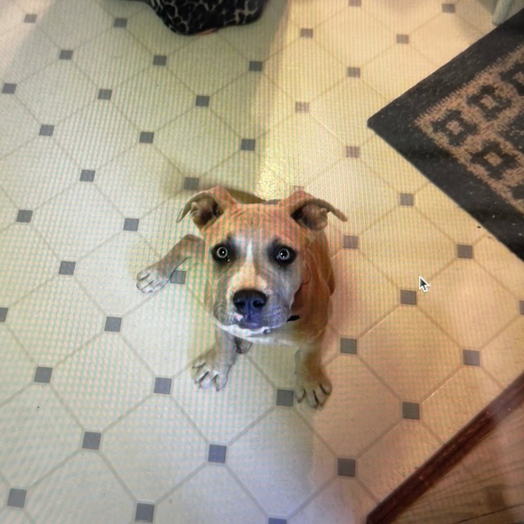 Meet your Posher - Picture 4 of 12